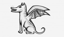 Pau Bonet / Graphic Design