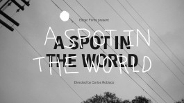 Pau Bonet / Graphic Design